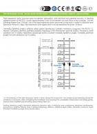 Pipe expansion joints installation 2