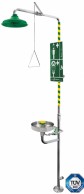 8335 Axion Emergency shower with eye-face wash station