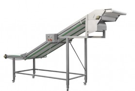 Modular conveyor for fish fillets