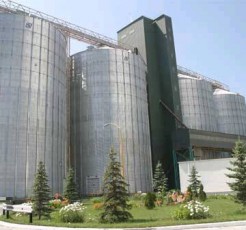 Commercial bins and silos