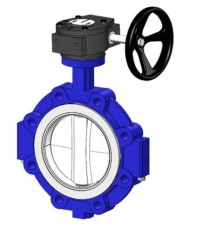 VP4649RA-08PTFE Drugelinė sklendė kaliojo ketaus korpusu su pavarų dėže su ausimis, PN16