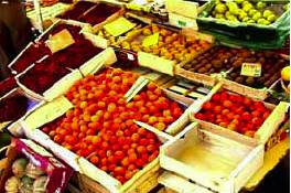 Sanosil dezinfekcijos programa daržovių ir vaisių perdirbimo įmonėse