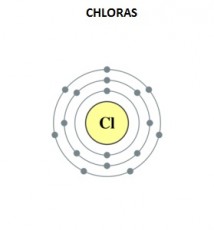 Apie chloro junginių įtaką sveikatai