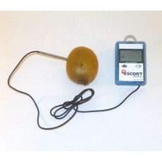 Temperatūrų registratorius Escort MINIPLUS su išoriniu zondu