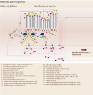 Įrengimai naudojami makaronų gamybos procese 1